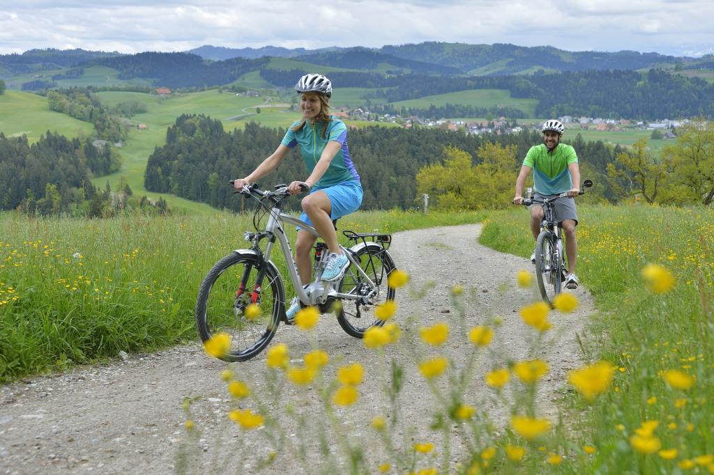 10 Fragen und Antworten zum Thema Elektrofahrrad - Was man über E-Bikes wissen muss
