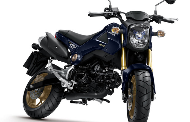 Schönheitspflege für die Honda MSX 125