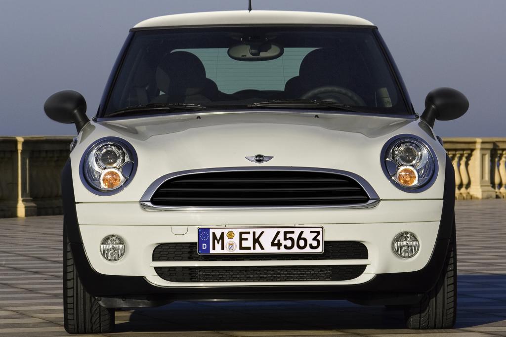 Die Kulleraugen sind typisch für den Mini