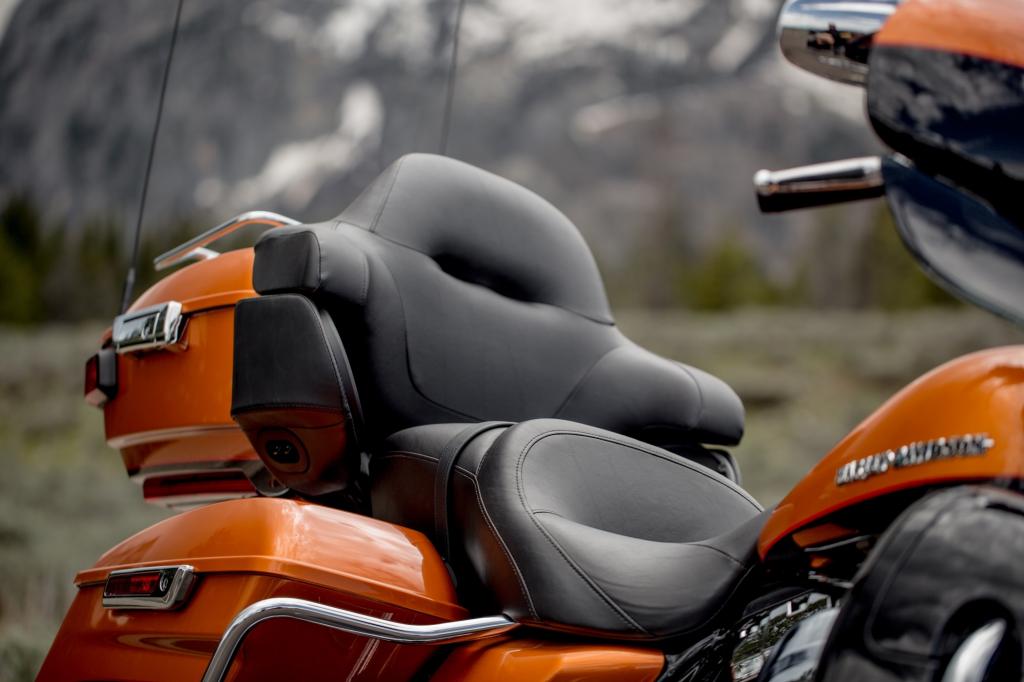 Ein ehernes Gesetz des Harley-Baus ist auch die Luftkühlung der Motoren; der Feinripp der Zylinder gehört zu jeder Harley wie die Lederjacke zum Biker.