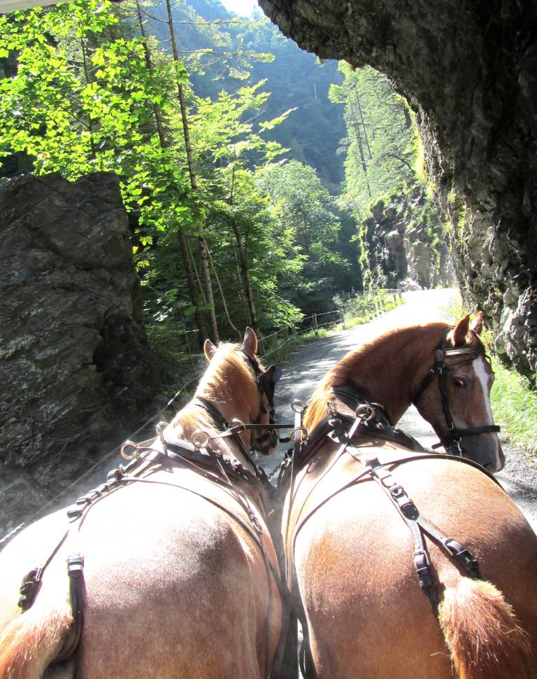 Eine Fahrt im Pferdewagen durch die Schlucht ist etwas Besonderes. 