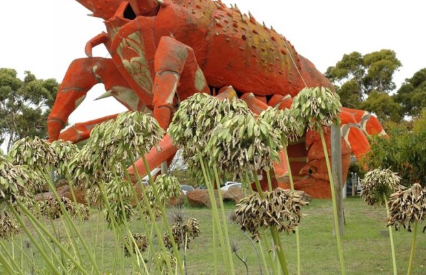 Down Under (III): Australien - von Portland nach Adelaide