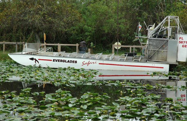 In den Everglades: Pa-hay-okee oder Der Fluss aus Gras
