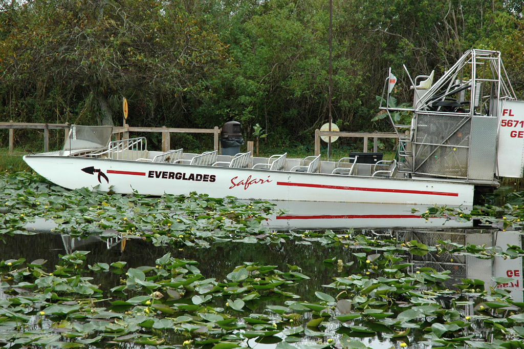 In den Everglades: Pa-hay-okee oder Der Fluss aus Gras