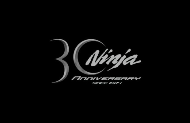 Ninja: 30 Jahre High Performance