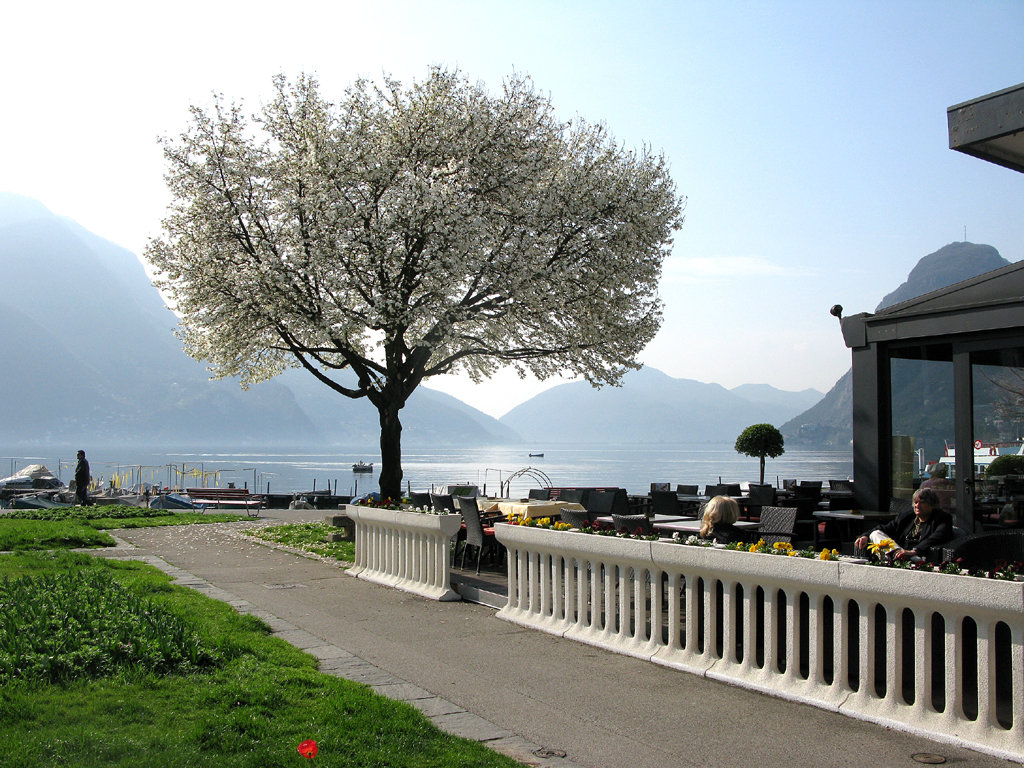 Südliche Stimmung am Ufer des Luganer Sees. 
