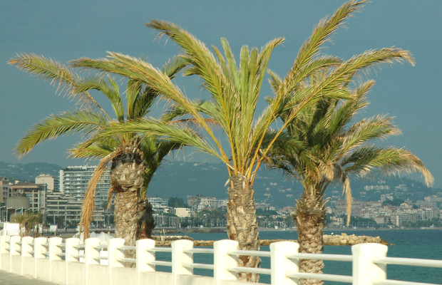 Cannes kann's: Die französisch Noble an der Cote d'Azur