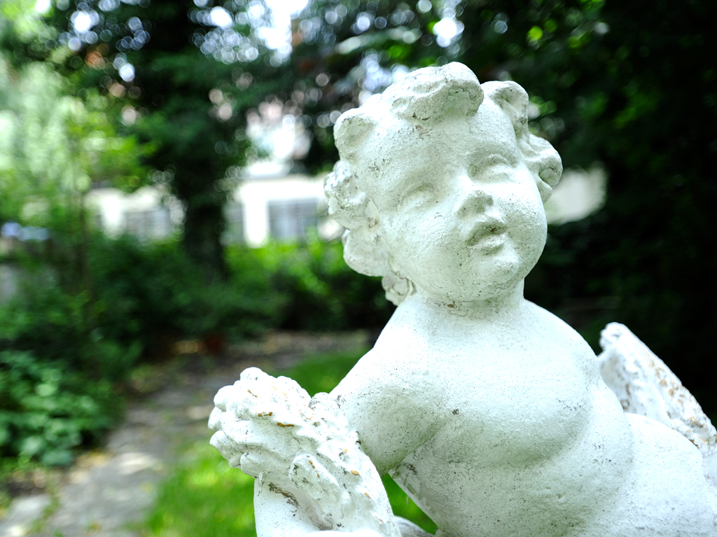 Im kleinen Garten hinter dem Haus. 