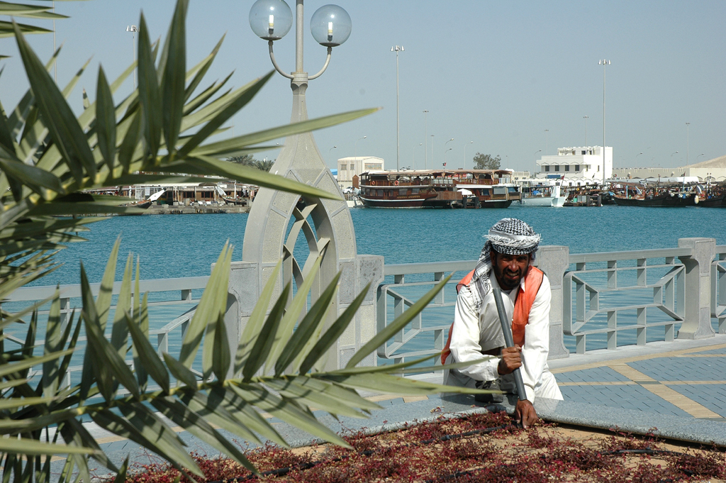 Pflanzenpflege: Vor Dhau-Hafen in Abu Dhabi. 