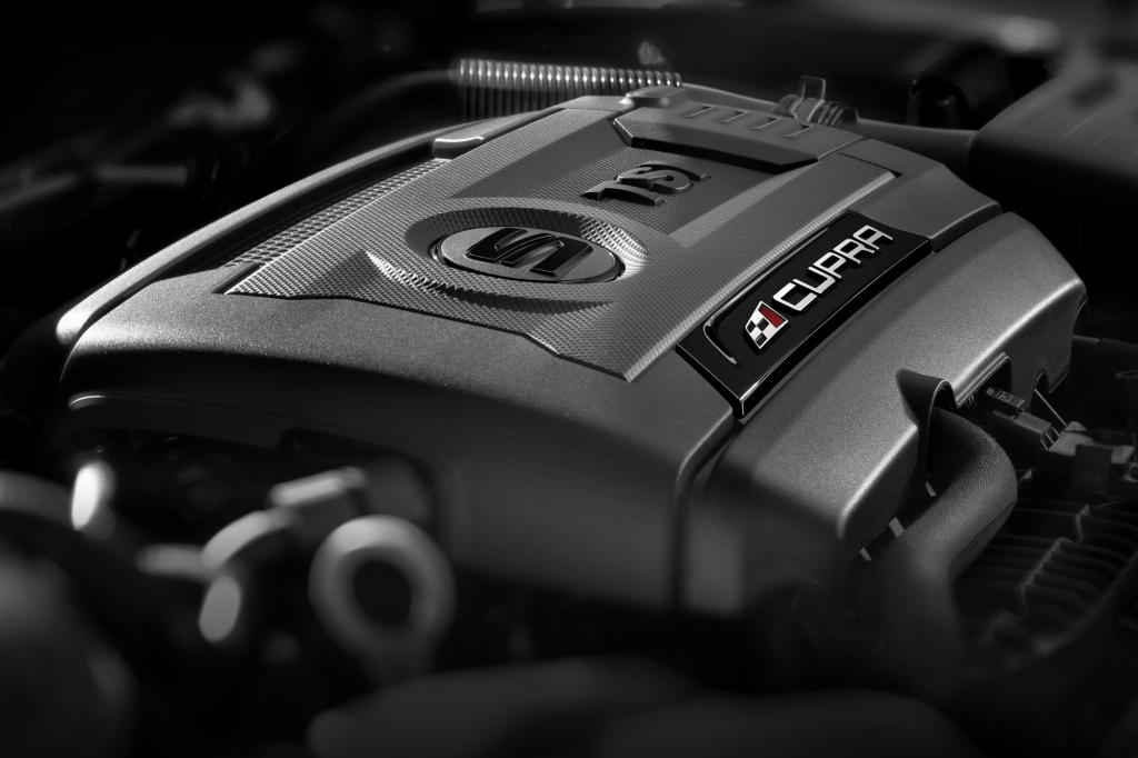 Sein 280 PS – es gibt auch eine leicht schwächere Version mit 265 Pferden -  starkes Aggregat lässt selbst die Ikone Golf GTI mit seinen maximal 230 PS alt aussehen