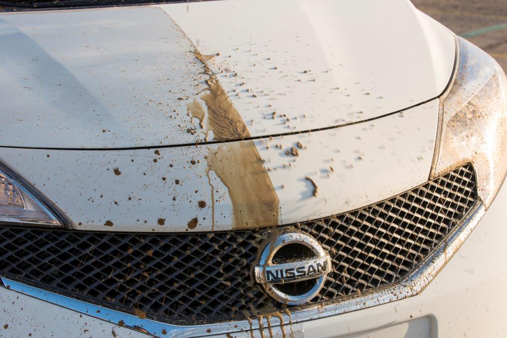 Selbstreinigender Autolack von Nissan - Hightech in der Fahrzeughaut