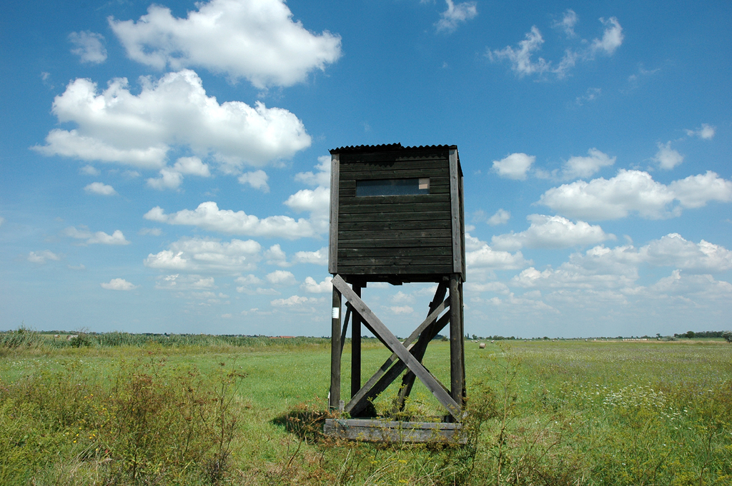 Hölzerner Beobachtungsturm am Rand des Neusiedler Sees. 