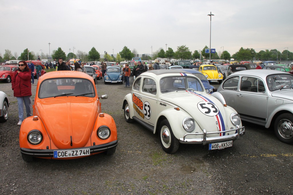 Maikäfertreffen 2014: 
