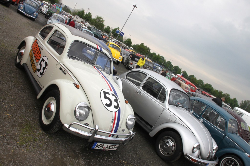 Maikäfertreffen 2014: 