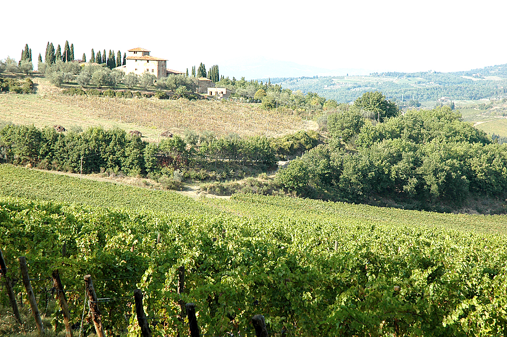 Sanfte Hügel, liebliches (Chianti-) Land: Auf der Straße des Weins