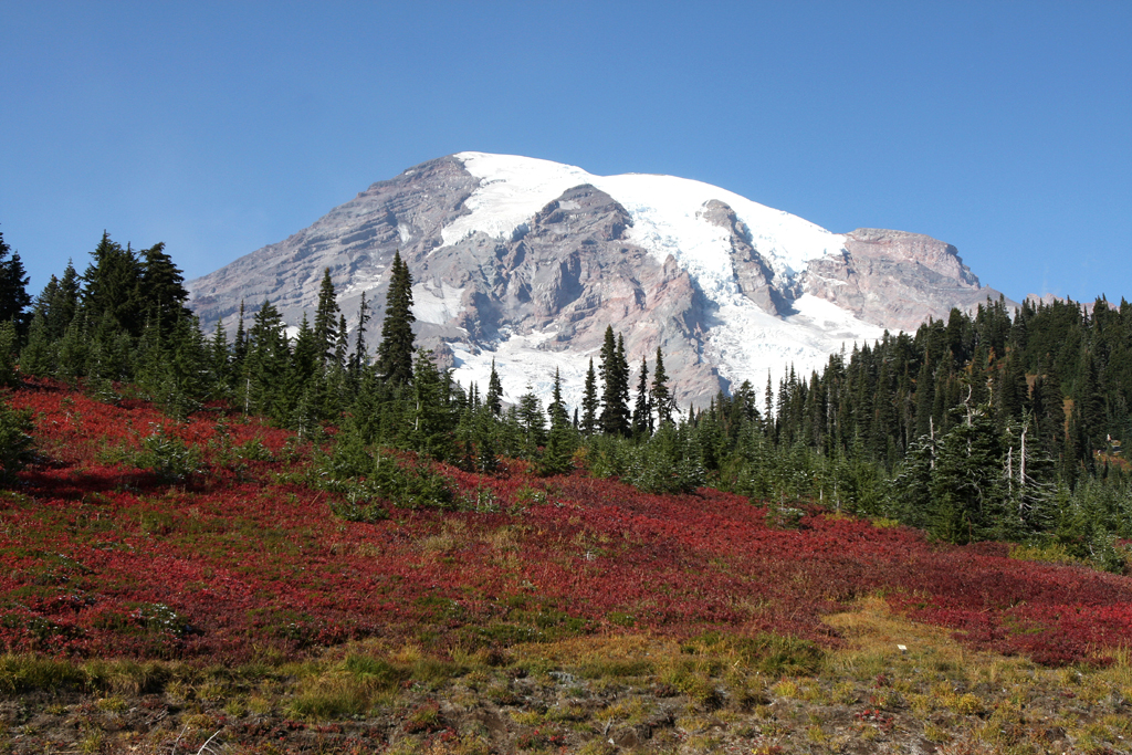 Seattles Hausberg Mount Rainer ist ein noch aktiver Vulkan. 