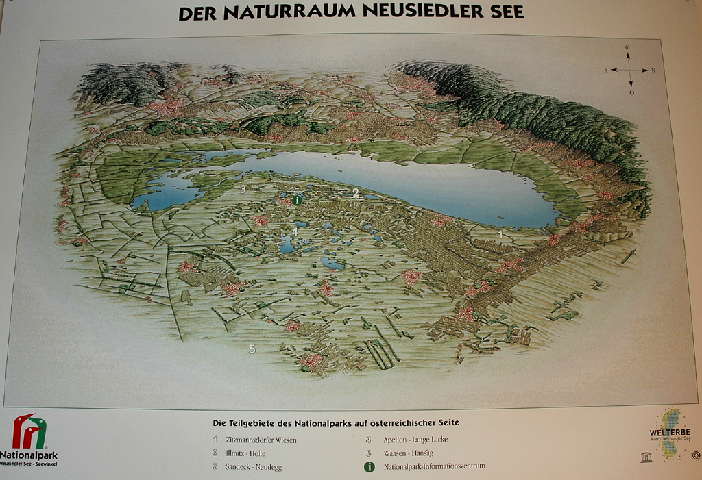 Zum Naturraum Neusiedler See gehören auf österreichischer Seite die Zitzmannsdorfer Wiesen, Illmitz/Hölle, Sandeck/Neudeck, Apetlon/Lange Lacke und Waasen/Hansag.