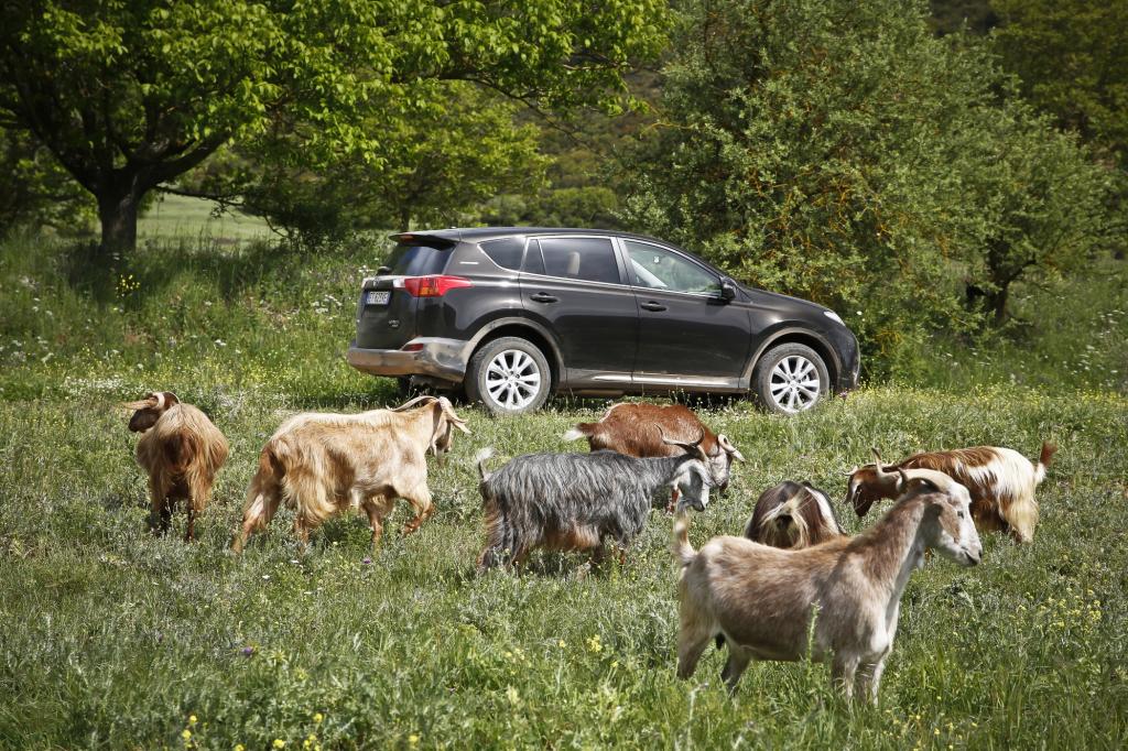 Zwanzig Jahre ist es her, dass Toyota mit dem kleinen Allrad-Spaßmobil die Über-Nische der SUV mitbegründet hat.