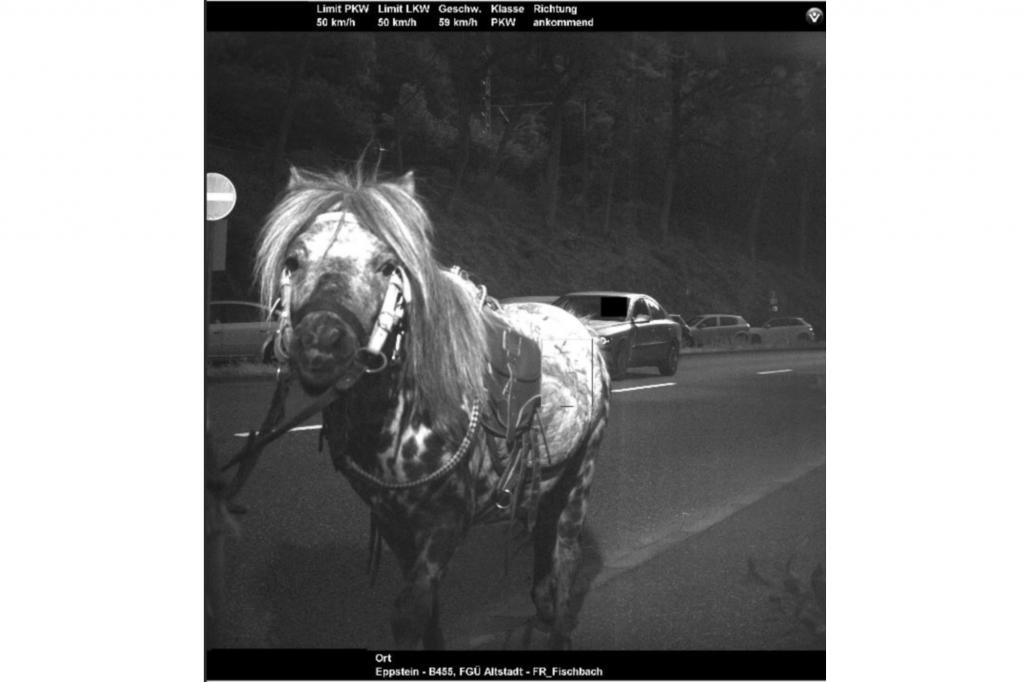 59 km/h zeigt das Blitzerfoto an, der verdeckte Schnellfahrer im Auto darf sich freuen