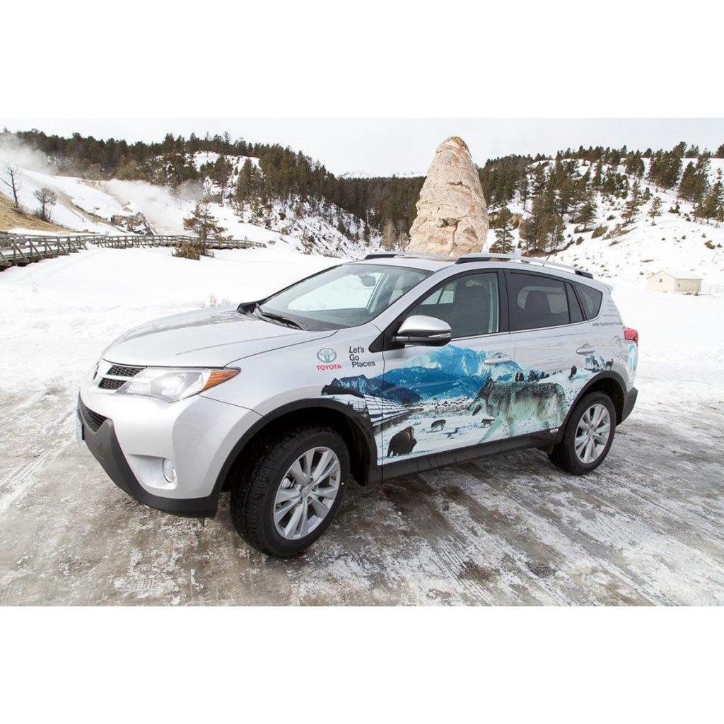 Bei Toyota schlägt ein grünes Herz