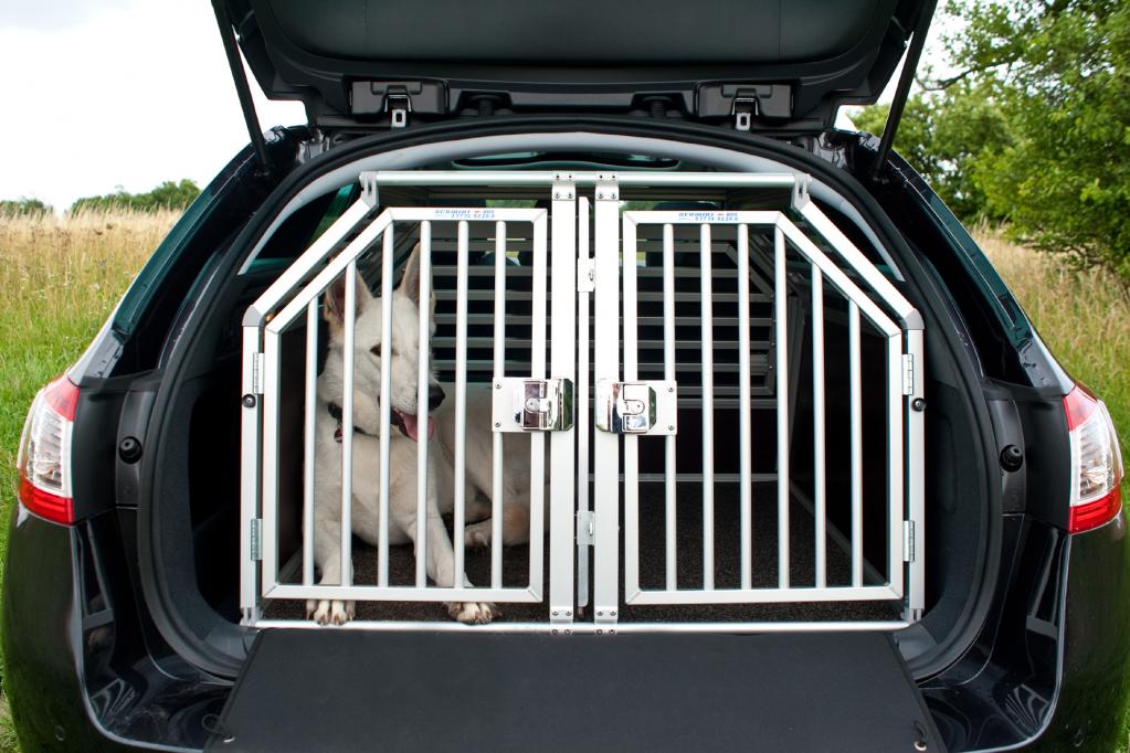 Das Auto als Hitzefalle für Haustiere