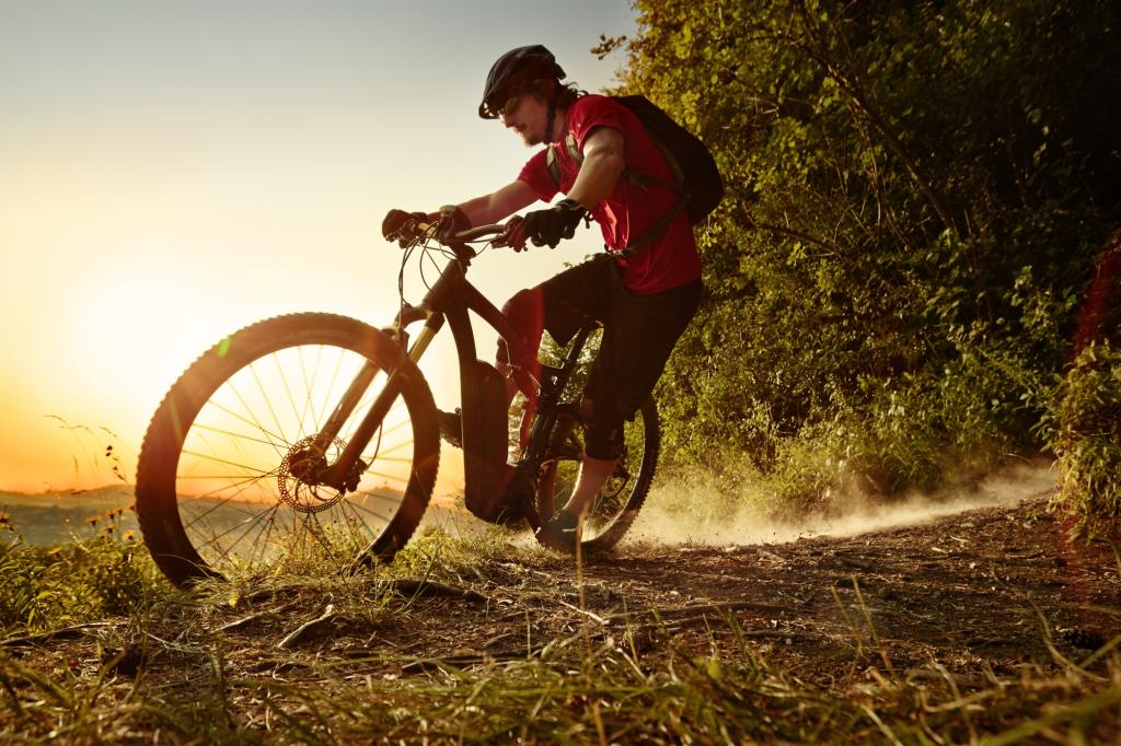 E-Bikes setzen sich immer mehr durch