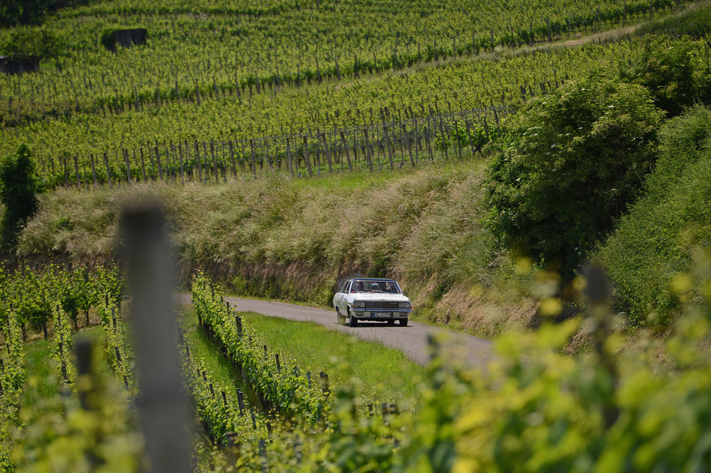 Paul-Pietsch-Classic 2014: Ein Admiral fährt den Opel-Chef zum Sieg