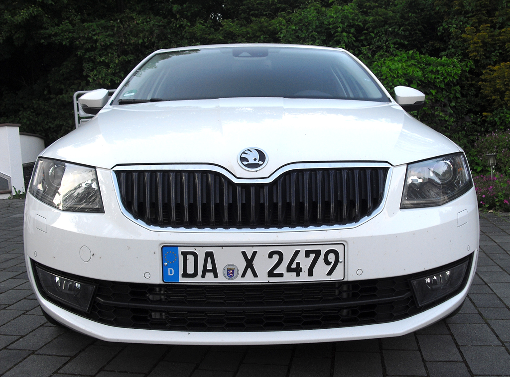 Skoda Octavia: Blick auf die Frontpartie. 