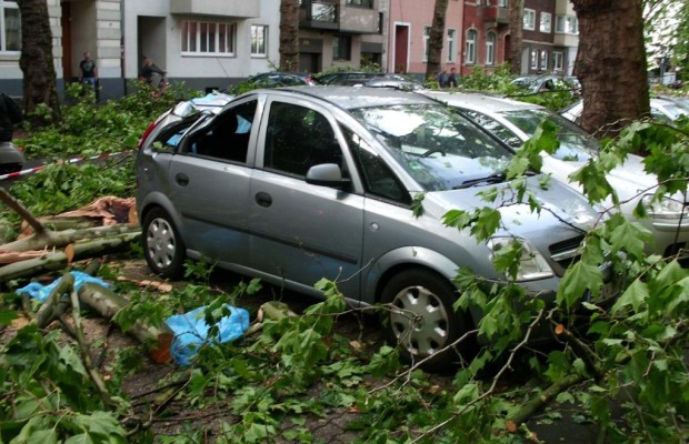 Sturm-Chaos: Der Albtraum der Autofahrer