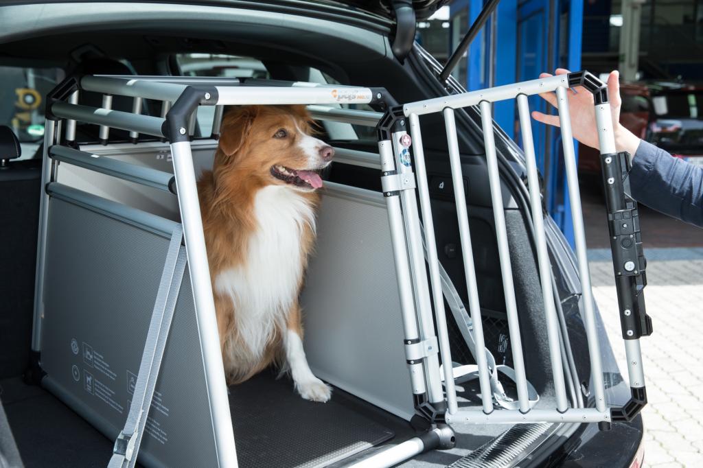  Große und mittelgroße Hunde werden am besten in einer Transportbox untergebracht