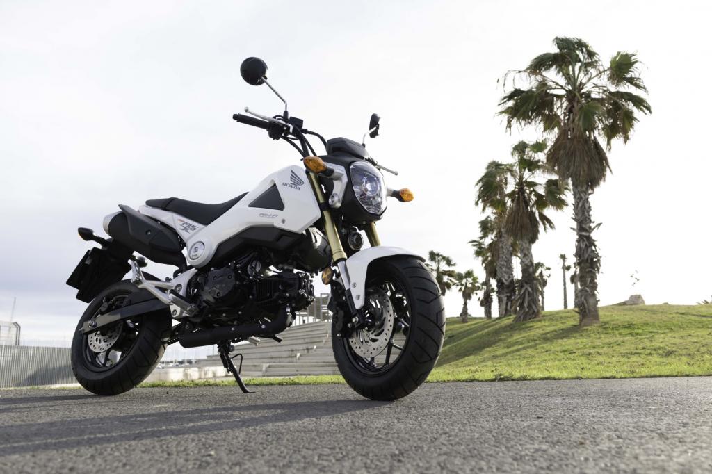 Dickreifen Exot Honda MSX 125
