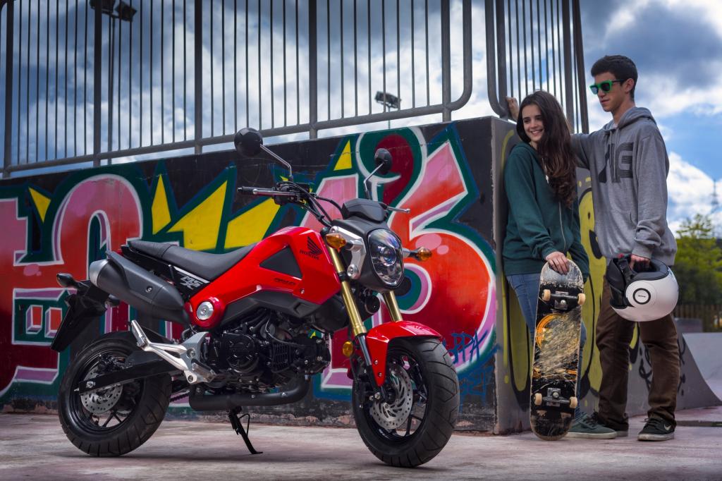 Dickreifen Exot Honda MSX 125