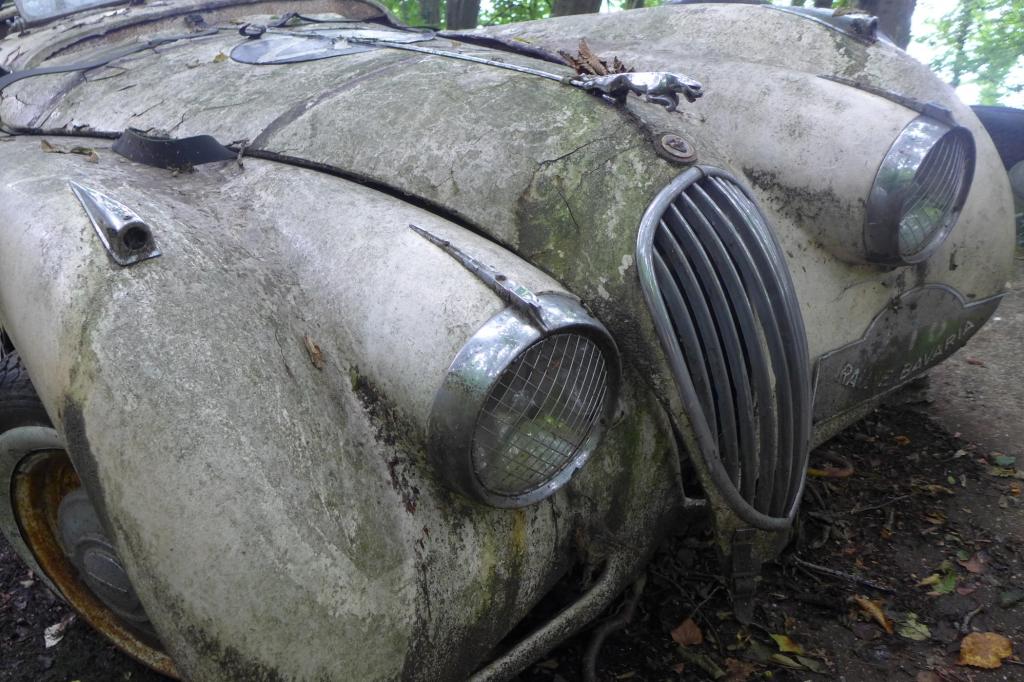 Ein historischer Jaguar steht auf einem Stück Rennstrecke und liefert sich ein letztes ewiges Rennen. 