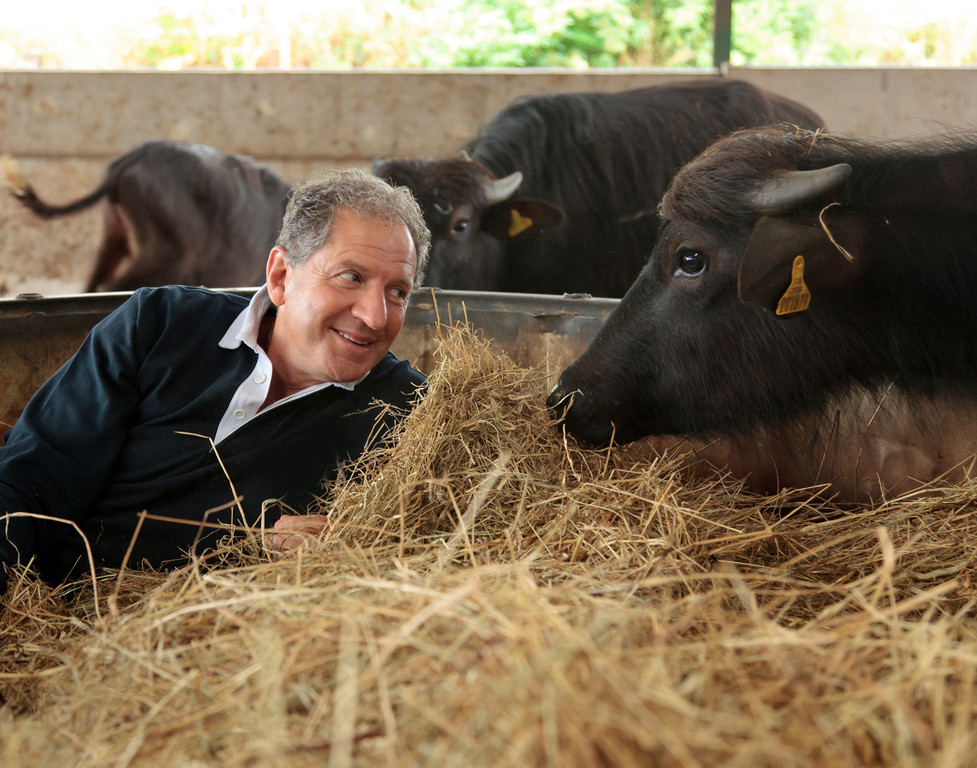 Exklusiv über Jody Scheckter: Der Mann mit dem goldenen Händchen