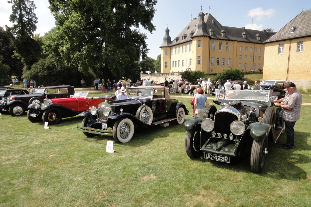 Ford Mustang posiert auf der Weide von Schloss Dyck