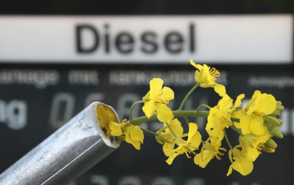 Gemisch aus Methan und Algen-Biodiesel