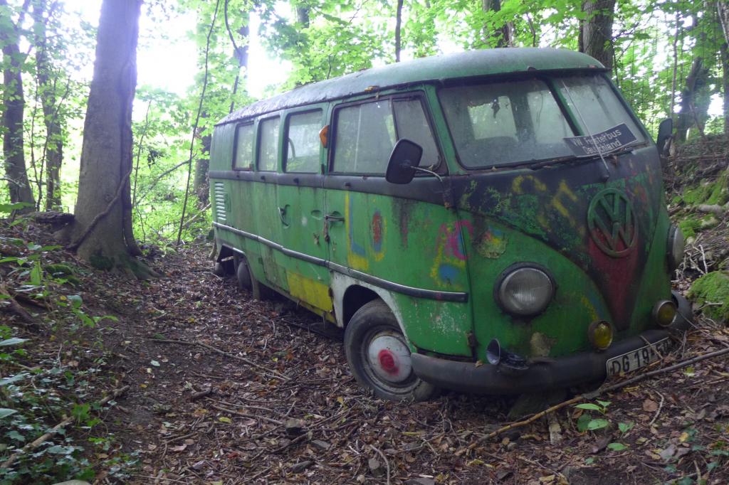 In einer tiefen Waldkuhle steht einsam ein VW Bulli.