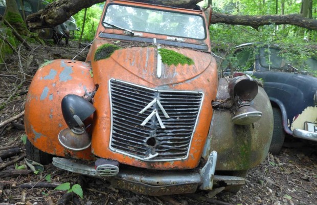 Panorama: Ein Friedhof für Oldtimer - Ruhe in Rost
