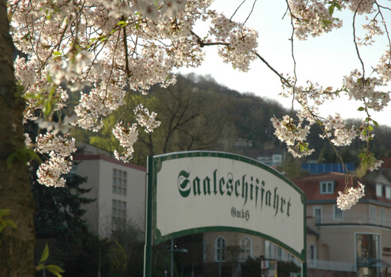 auto.de