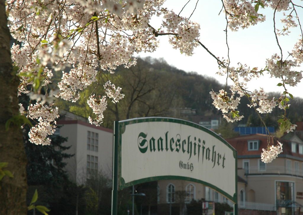 auto.de