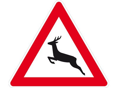Ratgeber: Vorsicht vor Wild