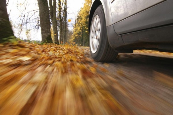 Ratgeber: Autofahren im Herbst - Sicher durch die goldene Jahreszeit
