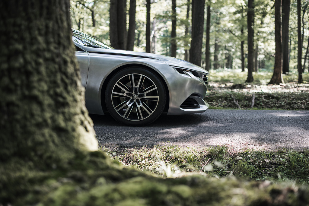 Paris 2014: Jetzt kommt uns der Peugeot Exalt in Grau