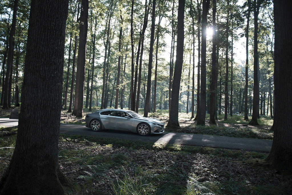 Paris 2014: Jetzt kommt uns der Peugeot Exalt in Grau