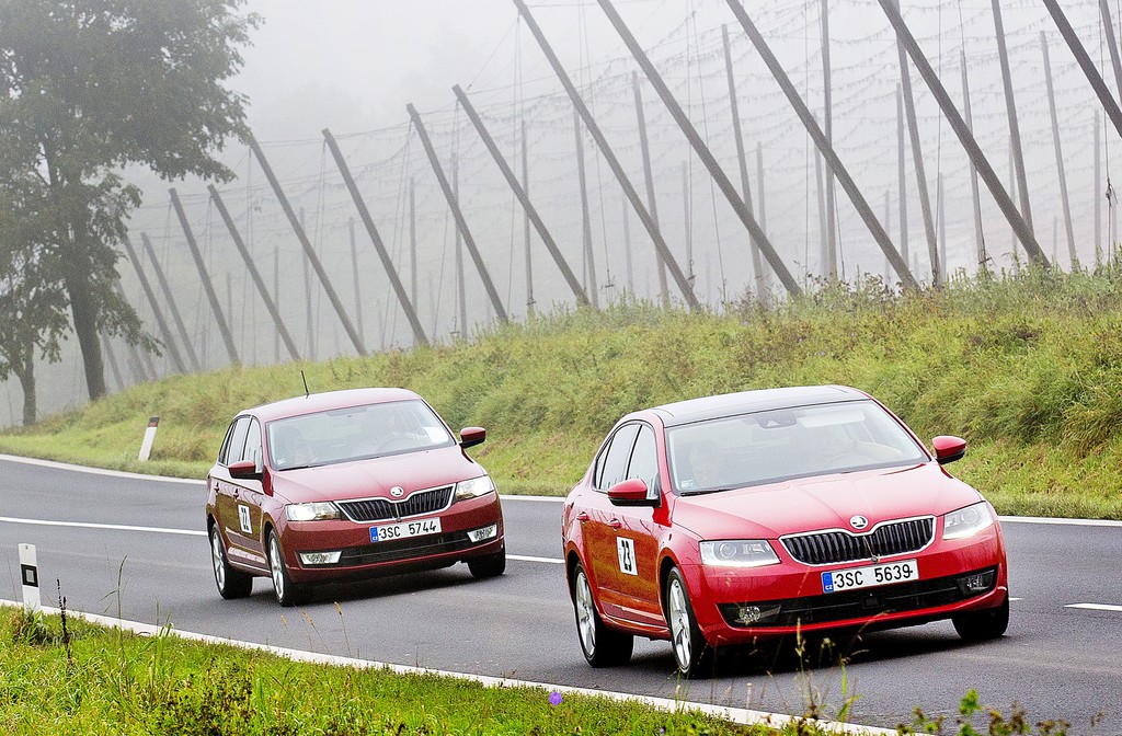Skoda Octavia gewinnt 