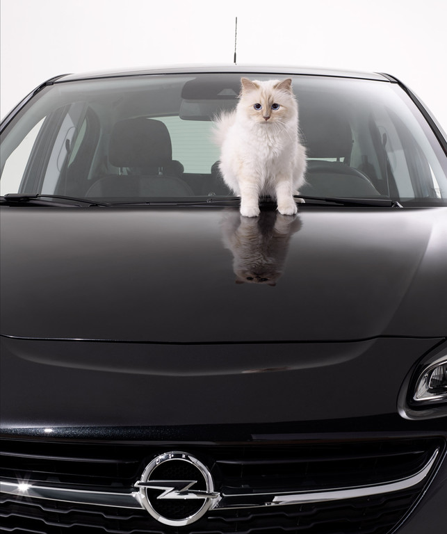 Karl Lagerfeld setzt den Opel Corsa mit Katze in Szene