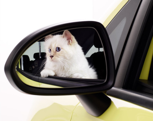 Karl Lagerfeld setzt den Opel Corsa mit Katze in Szene