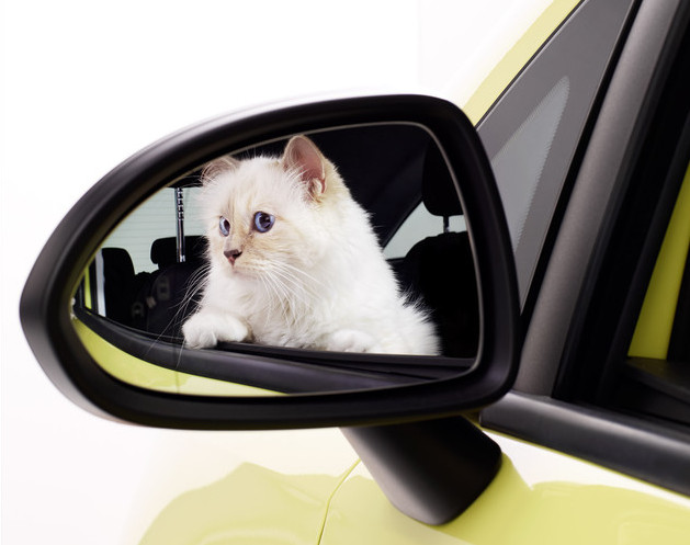 Karl Lagerfeld setzt den Opel Corsa mit Katze in Szene