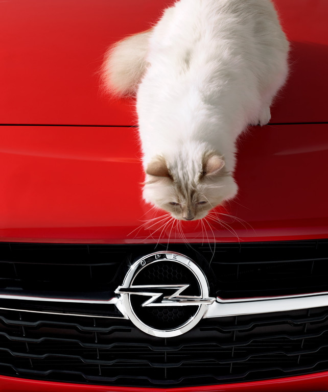 Karl Lagerfeld setzt den Opel Corsa mit Katze in Szene
