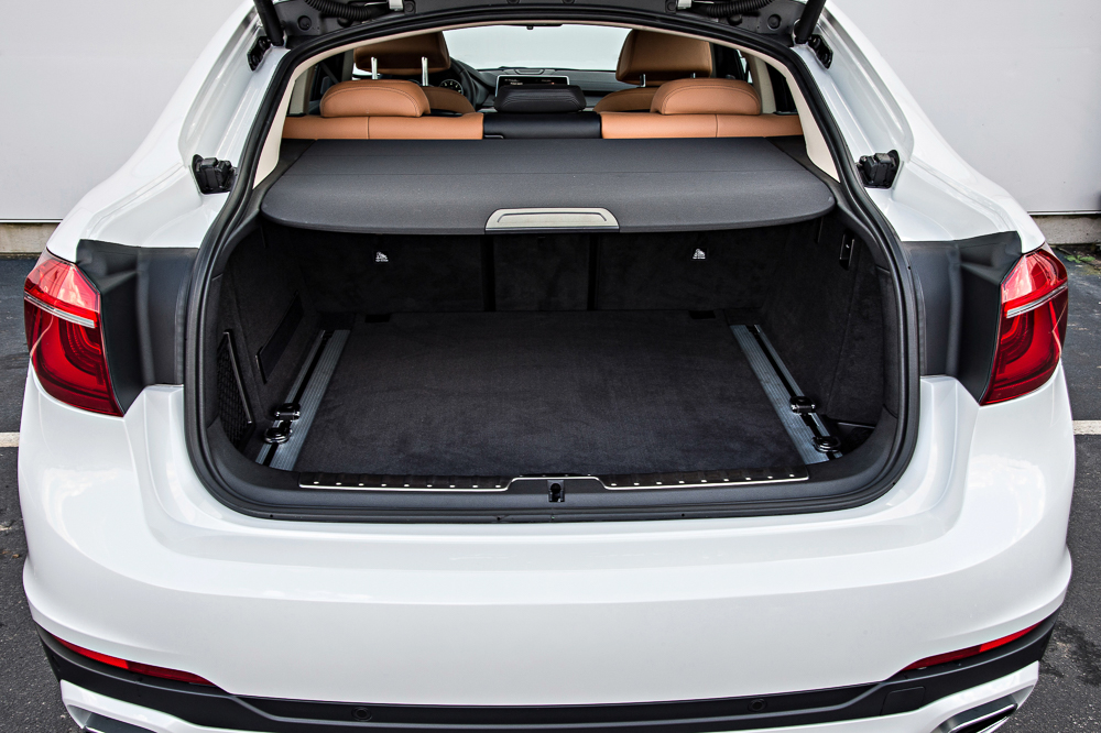 BMW X6 - Der will nur spielen